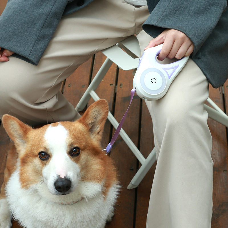 Retractable Dog Leash with Auto Brake – For Small & Medium Dogs