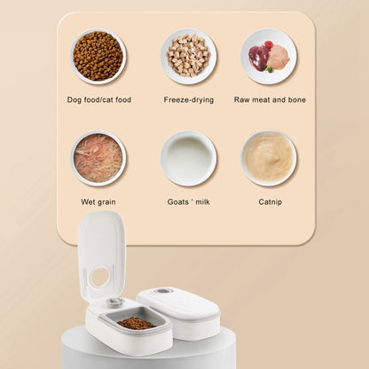 Automatic Pet Feeder – No Power, Dual Bowl Option