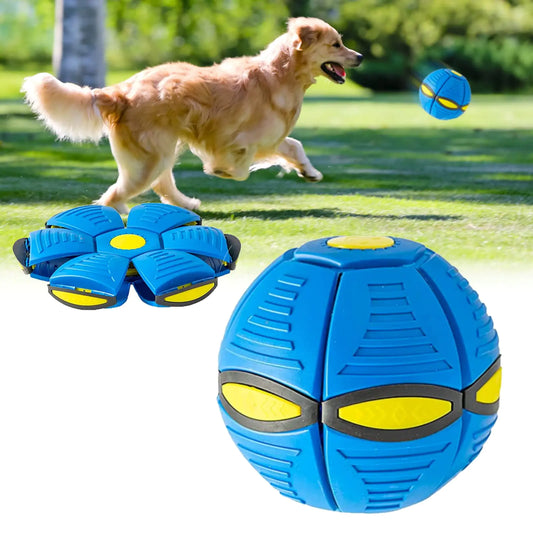 2024 Flying Saucer Dog Toy – Pop-Up Disc Ball (Blue)
