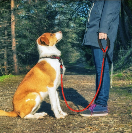 GlowGrip Reflective Dog Leash