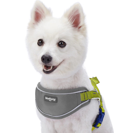 Reflective Padded Dog Harness Vest – Blueberry Pet (L, 30–38½", Citrus Lime)
