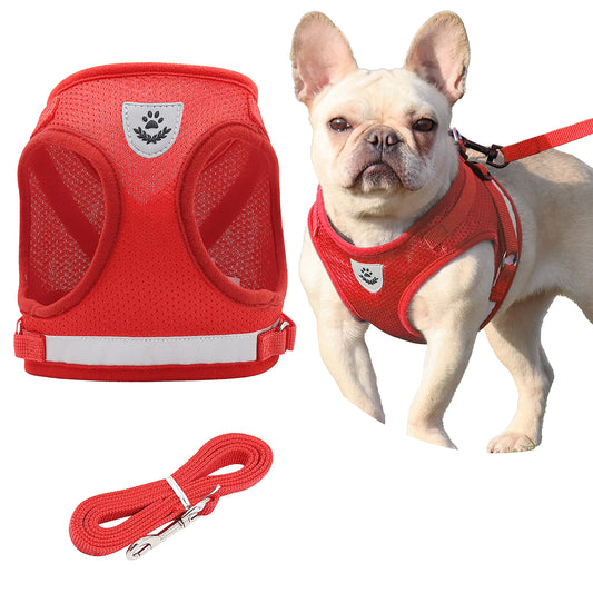 Reflective Pet Harness & Leash Set – Breathable Mesh, No-Pull Step-In (Red XS)