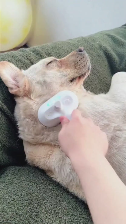 Rechargeable Cat and Dog Steam Grooming Brush