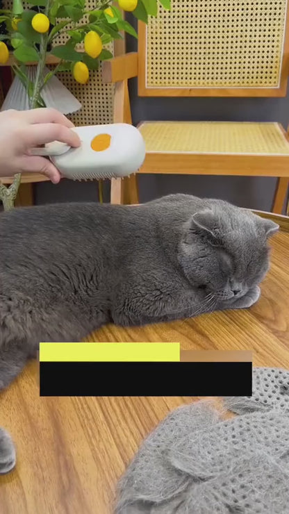 3-in-1 Electric Steam Pet Grooming Brush